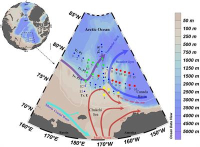 Planktonic Tintinnid Community Structure Variations in Different Water Masses of the Arctic Basin